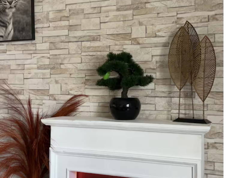 Colocation La Seyne-sur-Mer 598394-4