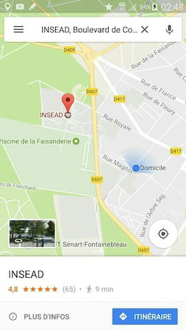 Famiglia Fontainebleau 242837