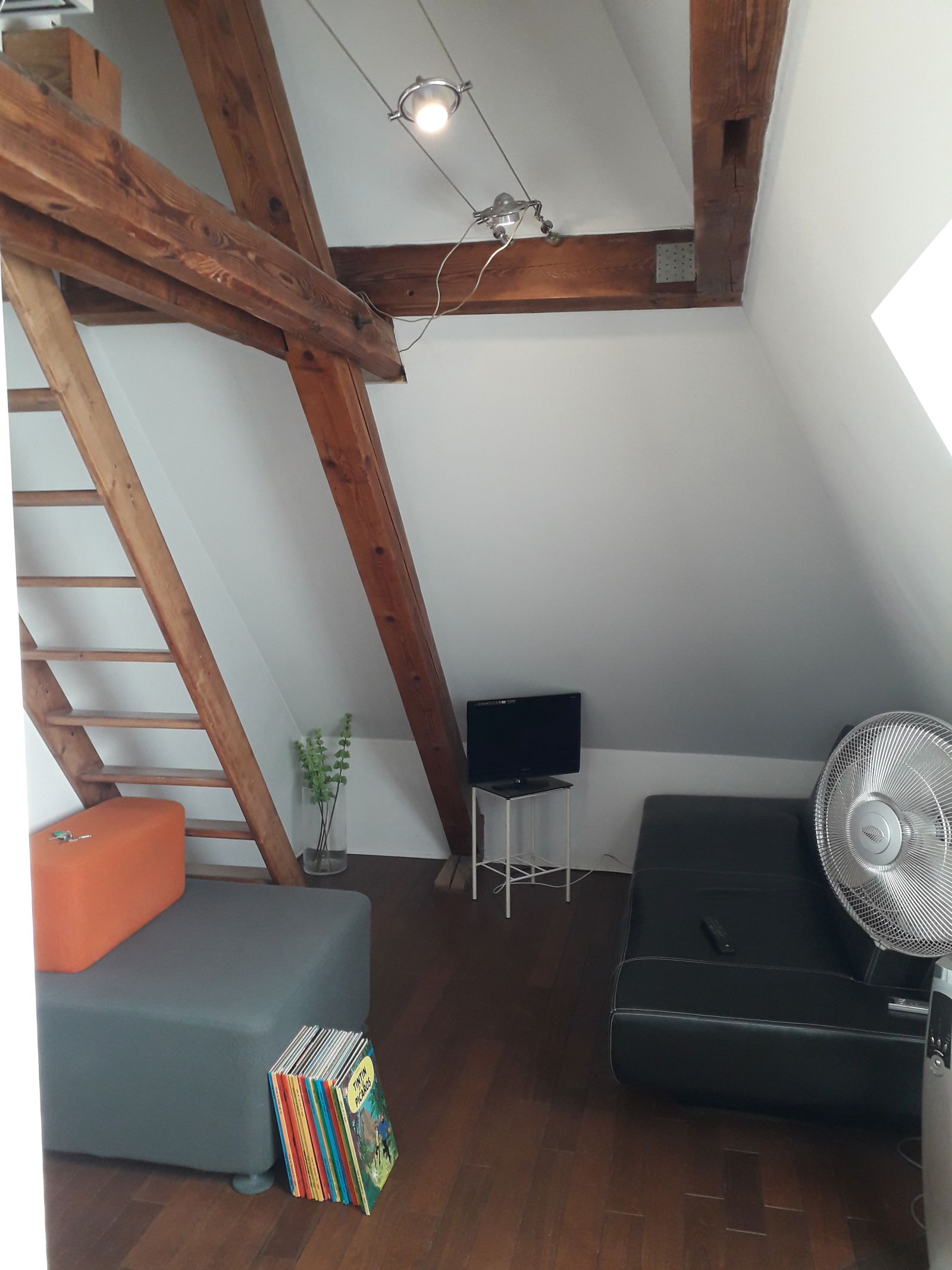 Famiglia Molsheim 416047