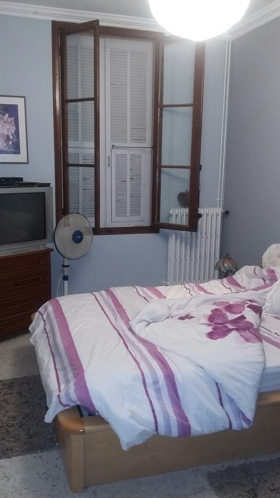 Colocation Menton 144251