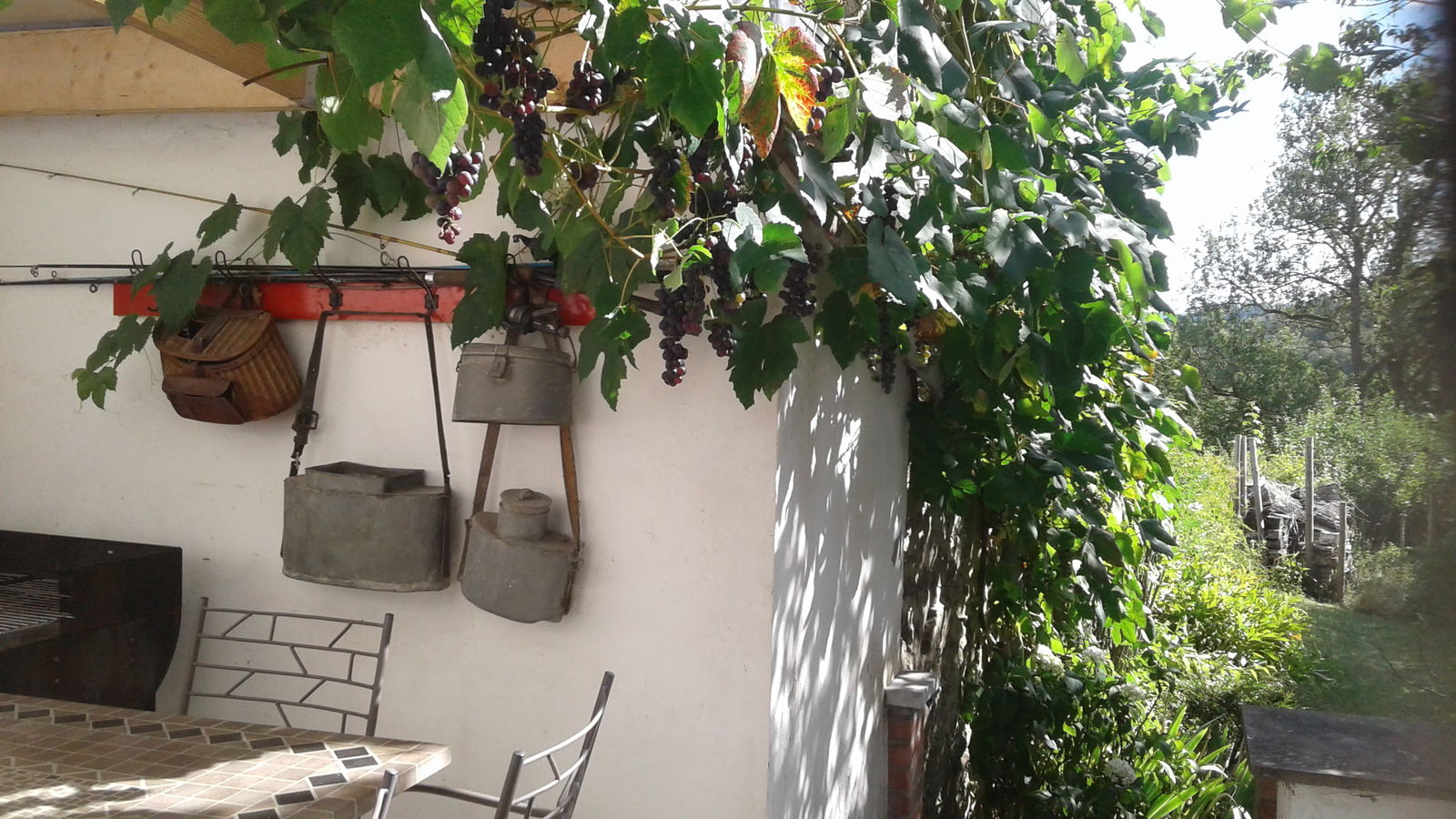 Tutta La Casa Saint-Hubert 257587