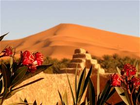 La Vallée Des Dunes - Doppelzimmer in Merzouga