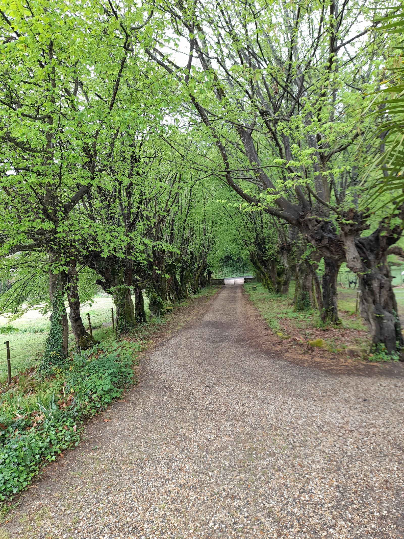 Gastgezin Le Tourne 256573