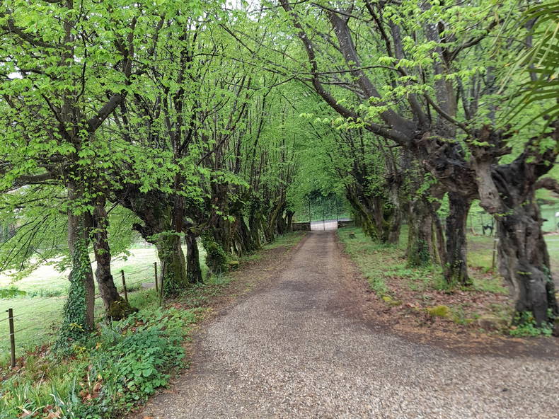 Chambre Chez L'habitant Le Tourne 256573-4