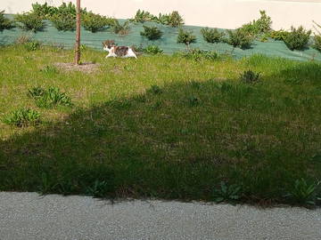 Chambre Chez L'habitant Chécy 661710-12