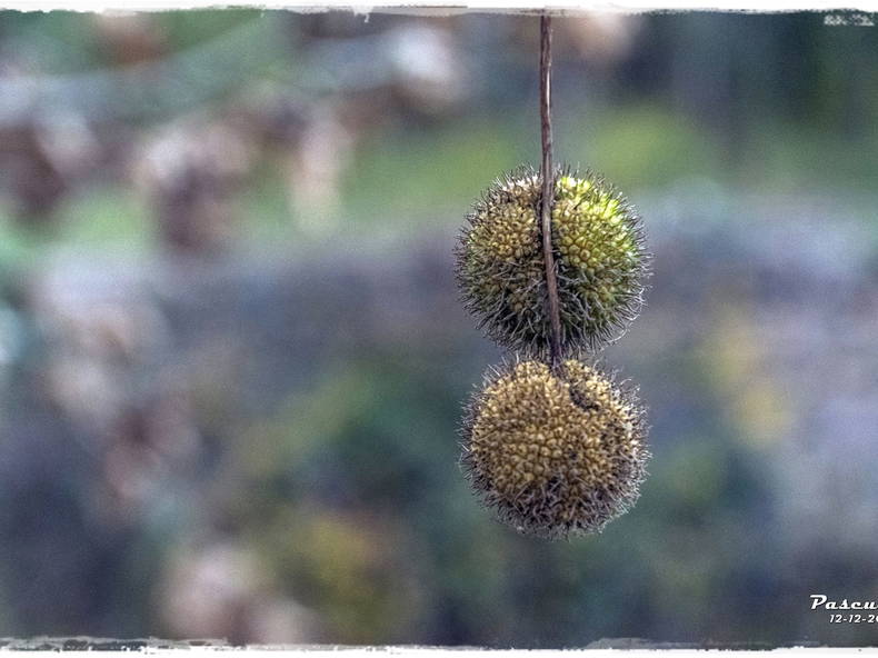 Quedarse En Casa 08260 324491-3