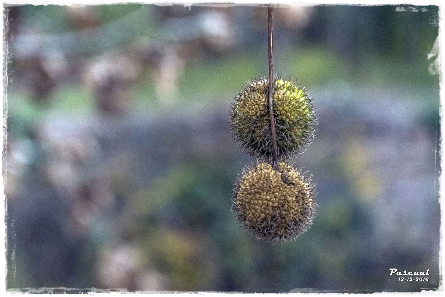 Quedarse En Casa 08260 324491