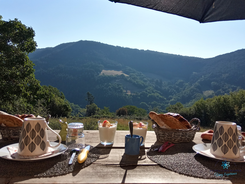 Chambre Chez L'habitant Viala-du-Tarn 131658-5
