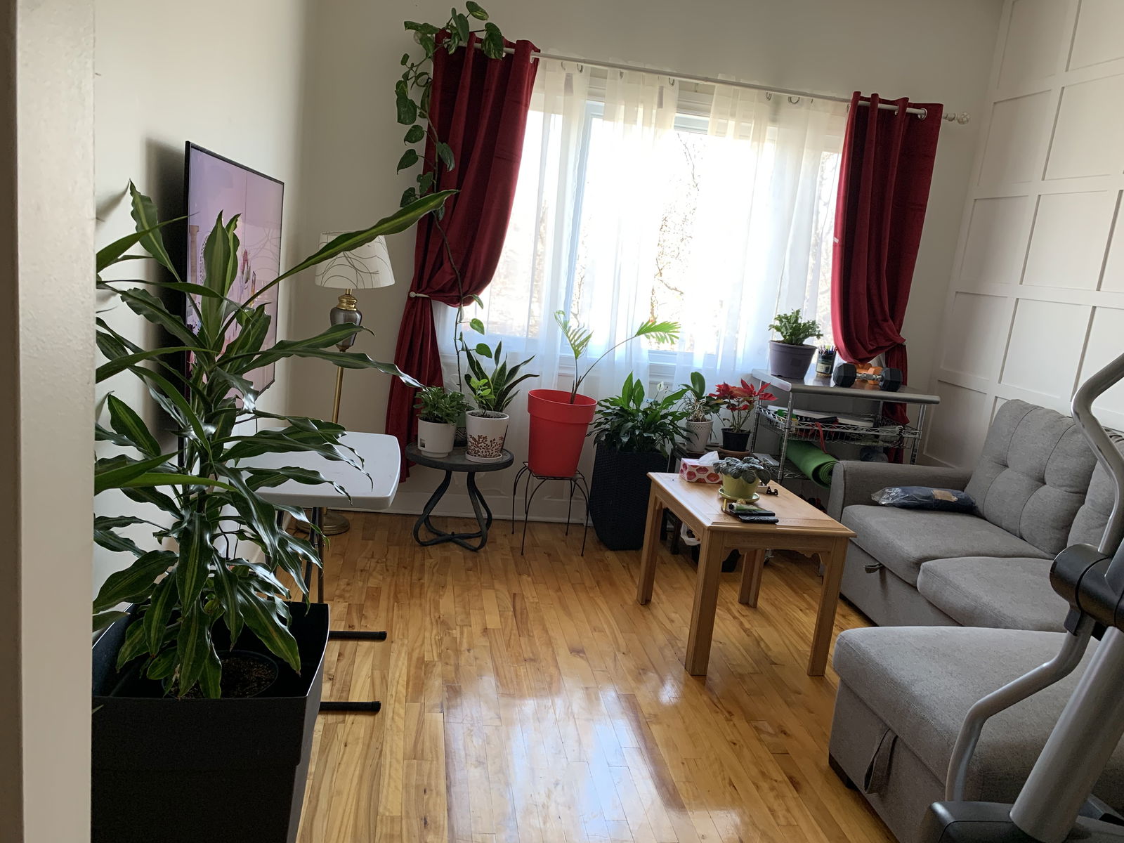 Chambre Chez L'habitant Montréal 319616