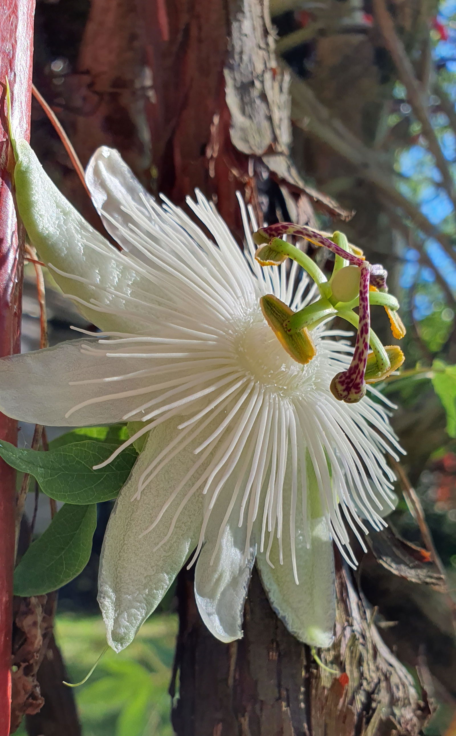 Zakwaterowanie U Rodziny Cheyres-Châbles 582640