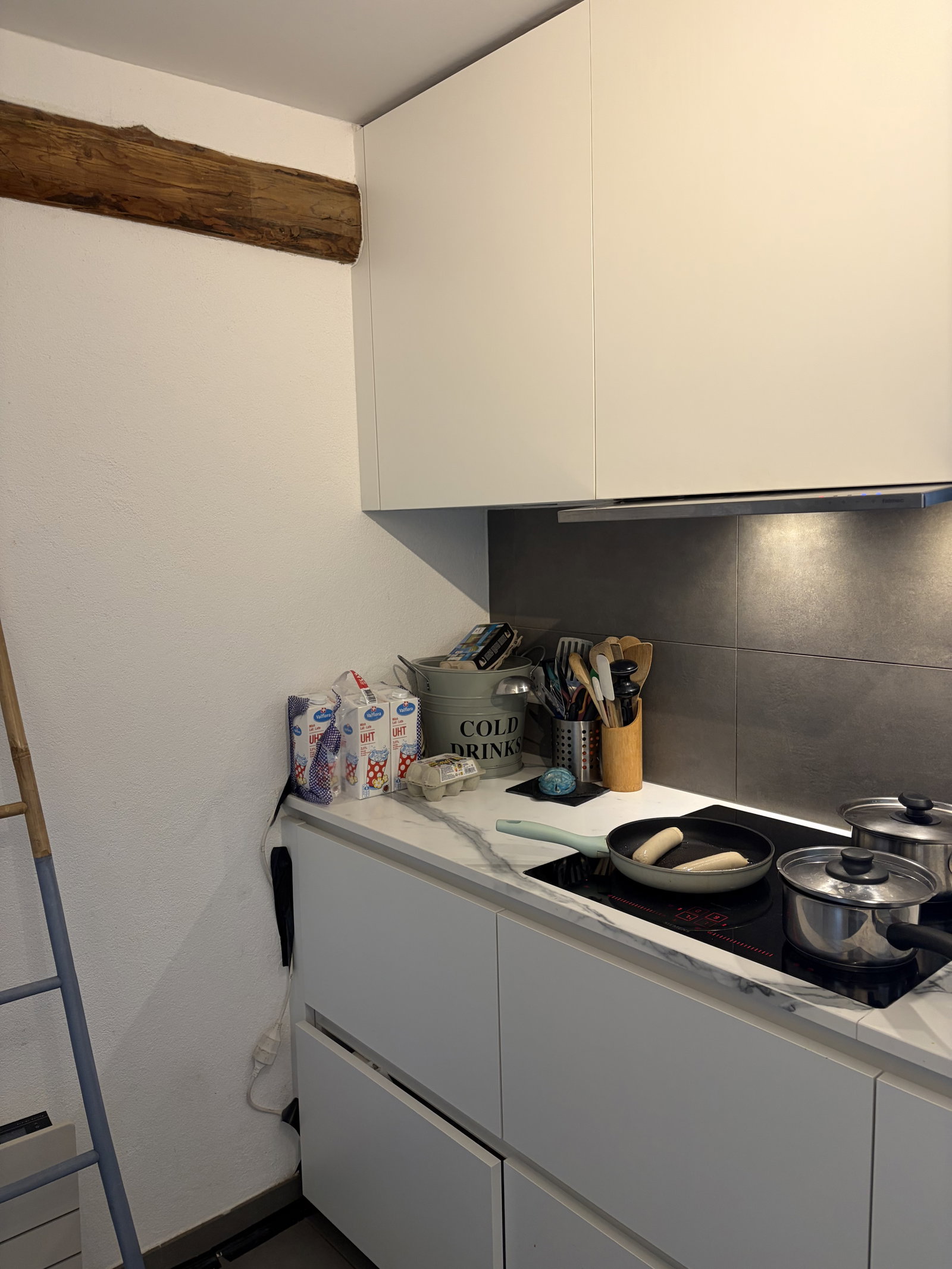 Hela Bostaden Tolochenaz 655443