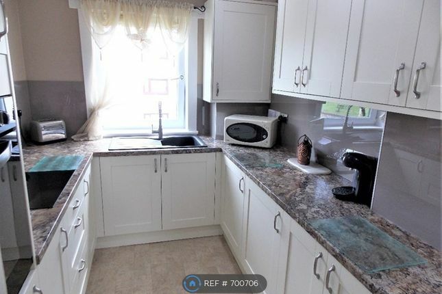 Hela Huset Dundee 233565