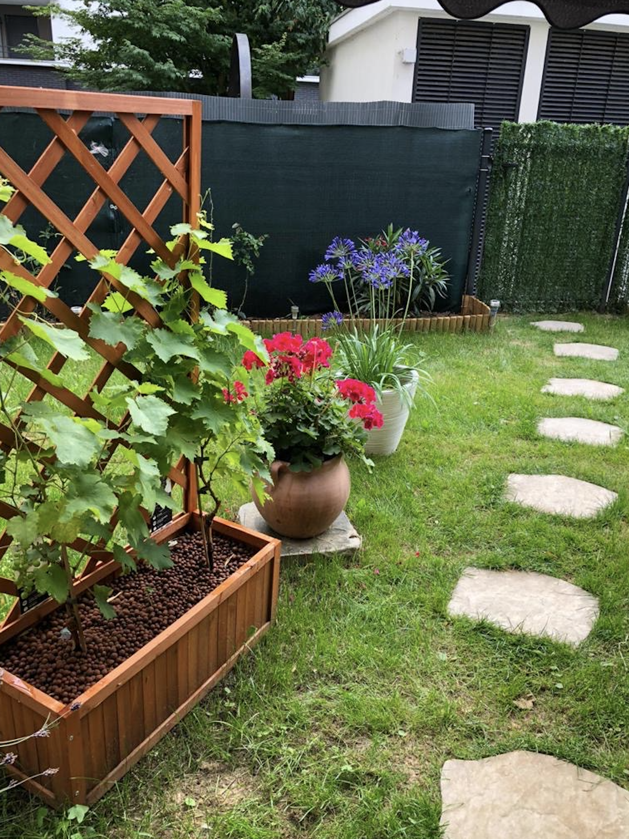 Hela Huset Thiais 243190