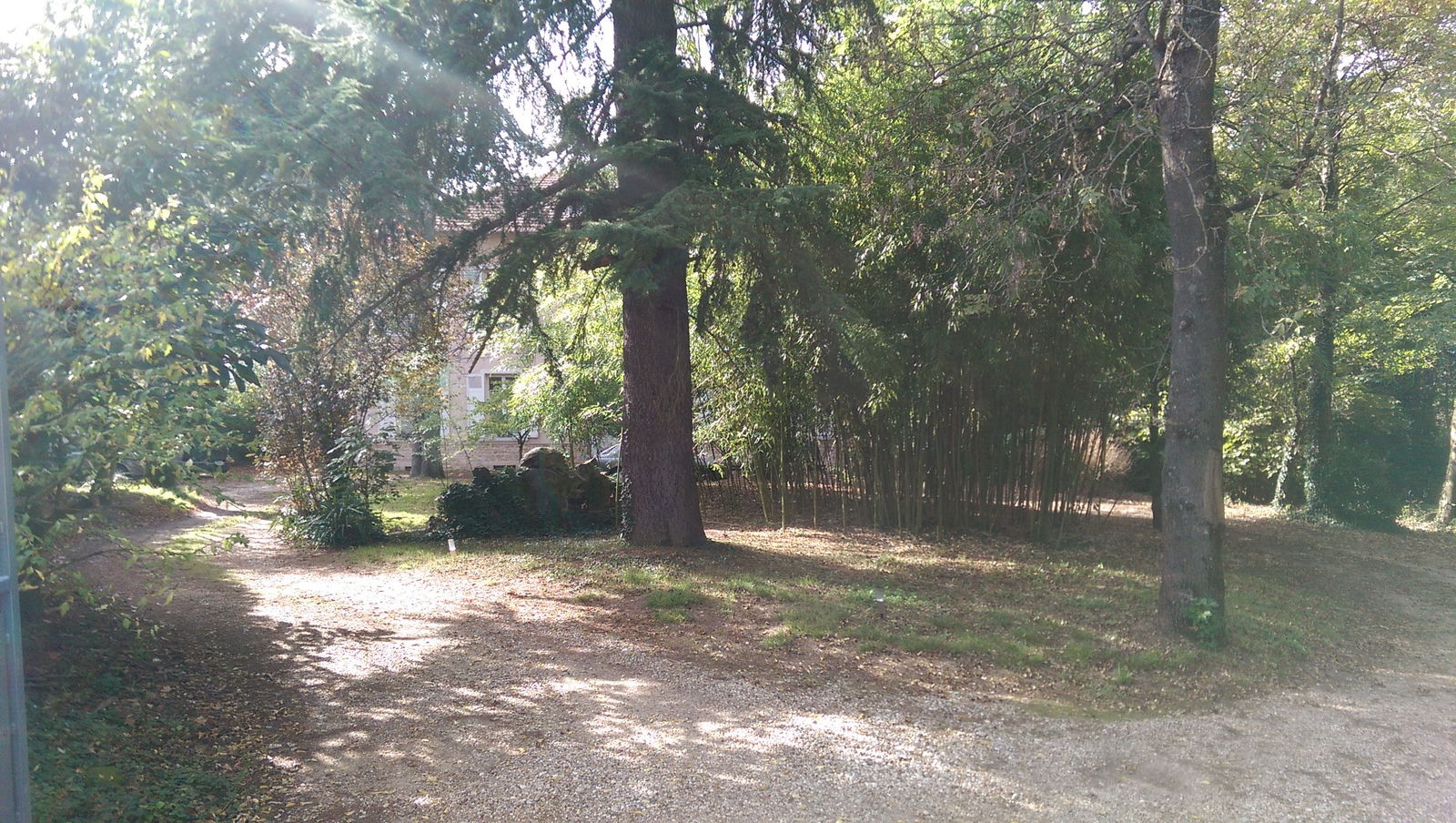 Colocation Fontaines-sur-Saône 182389