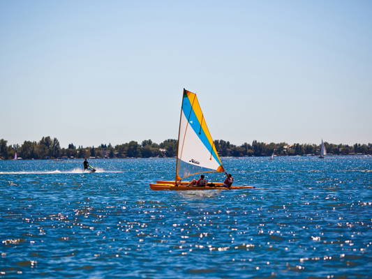 Homestay Chestermere 119120-1