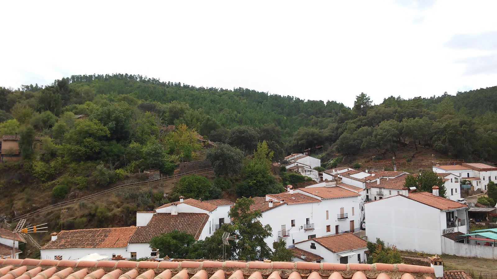 Uafhængigt Studie Sevilla 112394