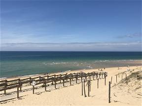 Landes coast villa: Messanges Plage