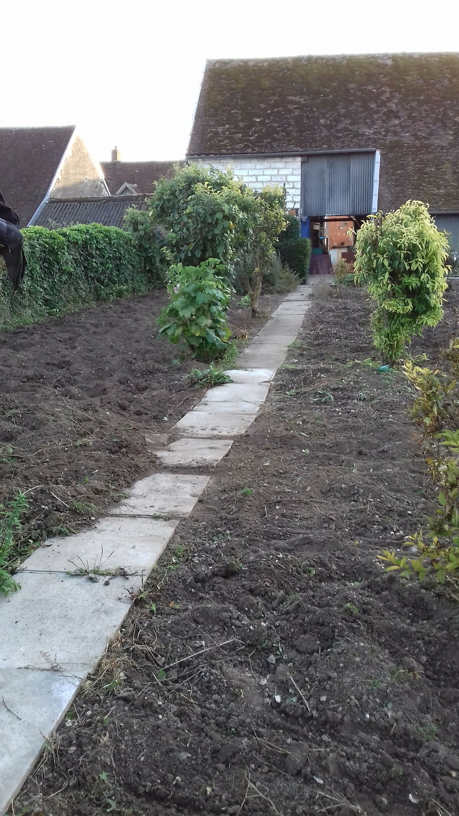 Kolokation Courgenay 150830