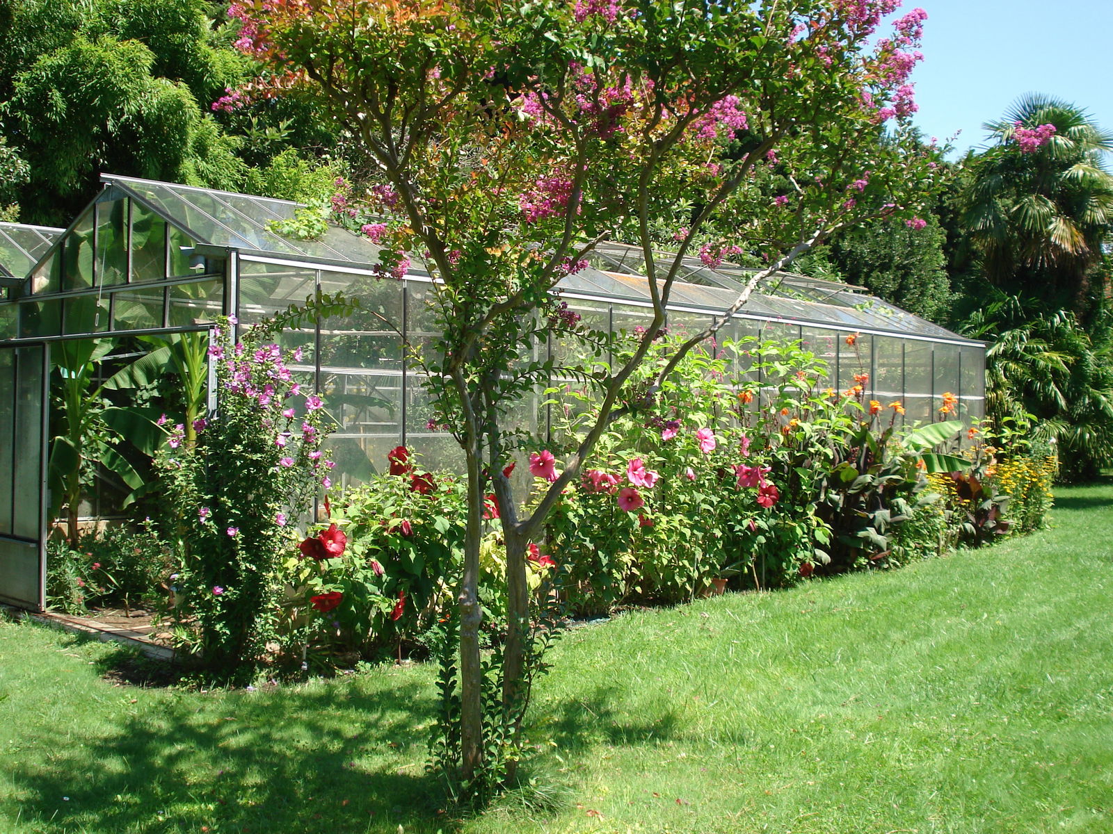 Unabhängiges Studio Loriol-du-Comtat 73668