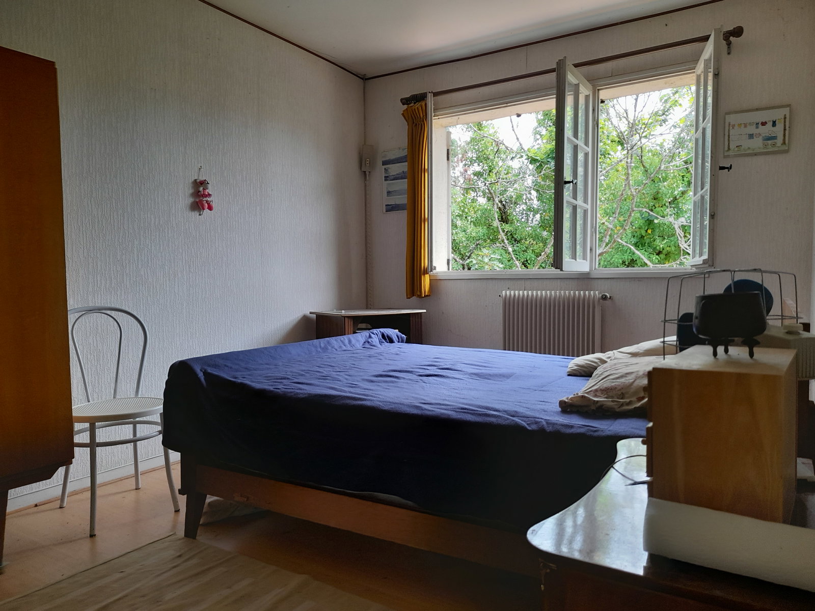 Kolokation Gradignan 268023