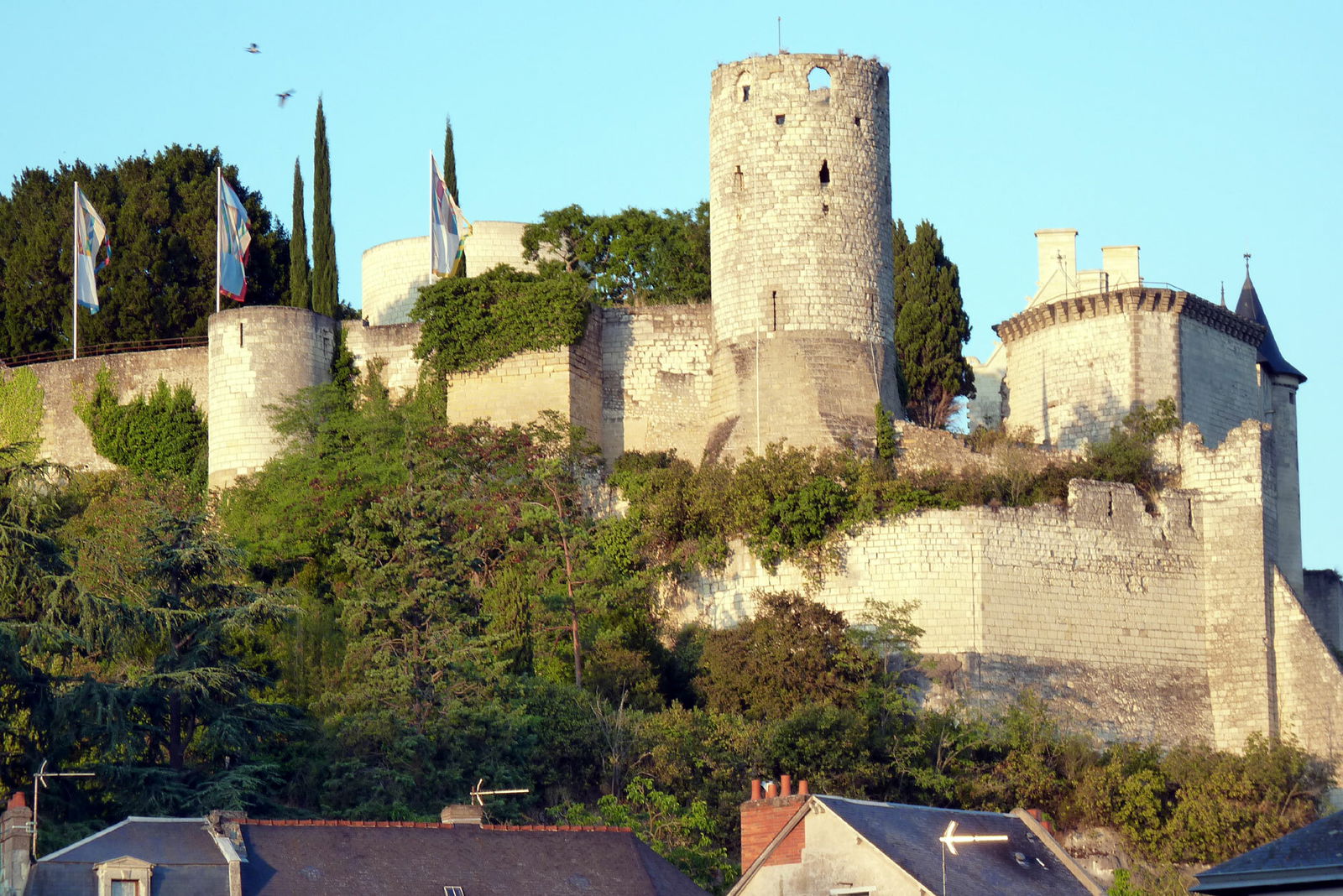 Onafhankelijke Studio Ingrandes-de-Touraine 99960