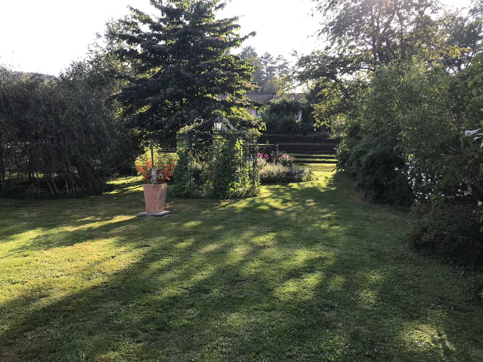 Coliving Wolschwiller 646750