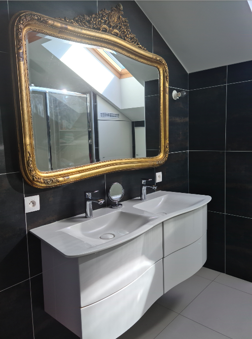 Colocation Annemasse 239349