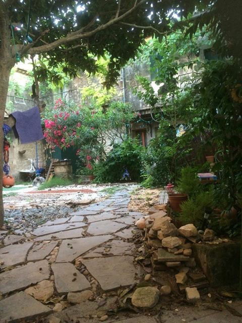 Homestay Junas 132644