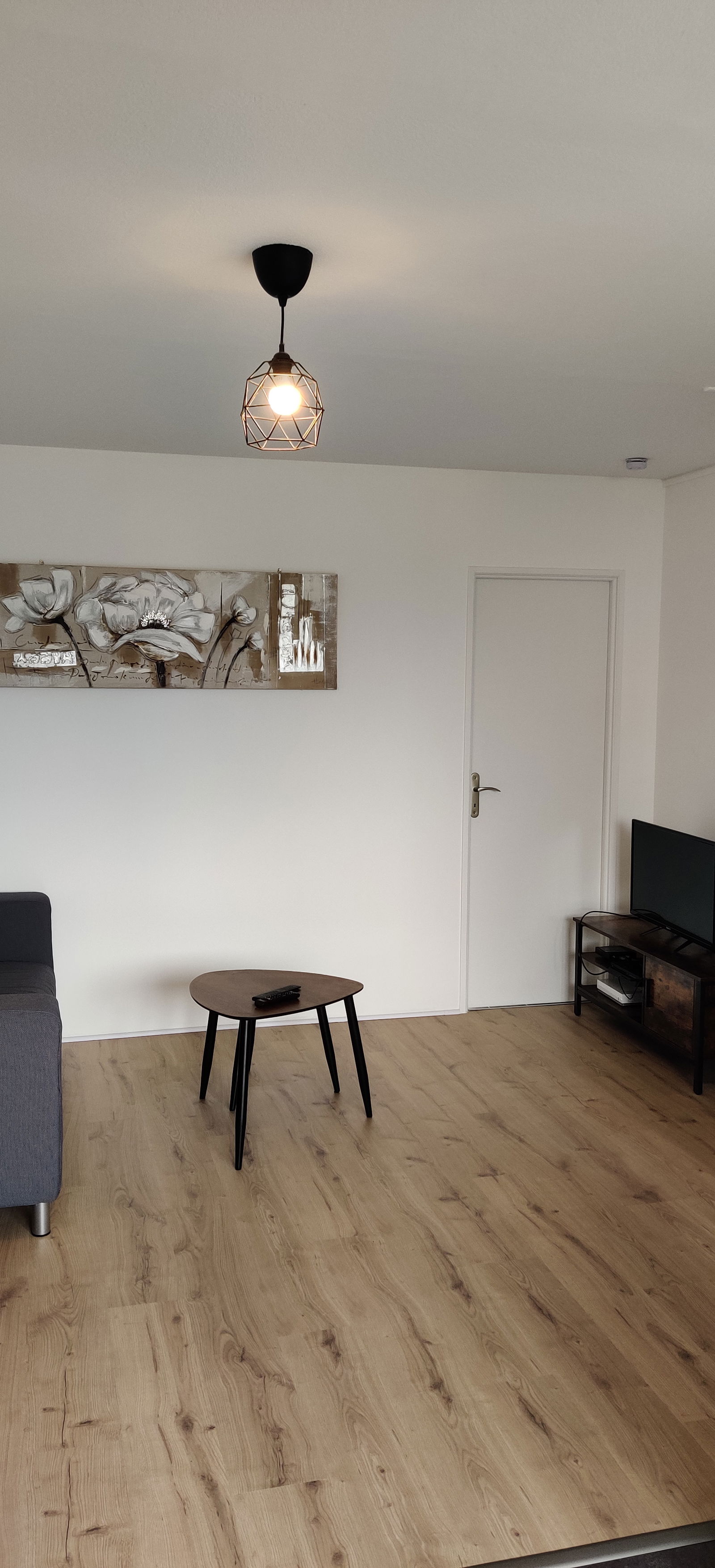 Colocation Pierre-Bénite 266299