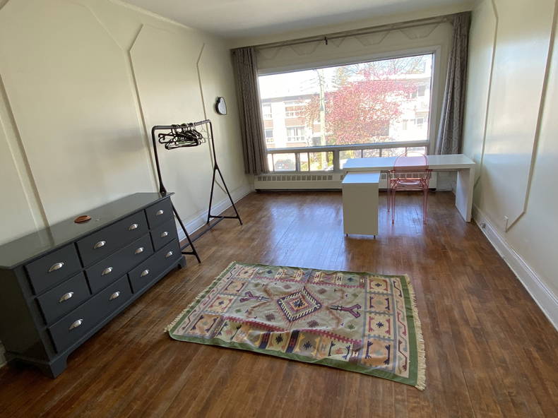 Kolokasie Montréal 256111-2