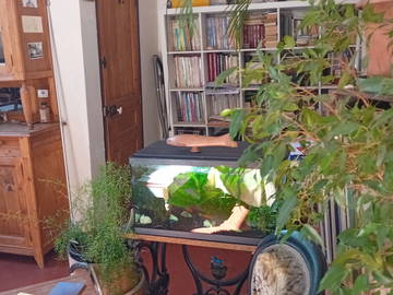 Homestay Aubagne 264685-4