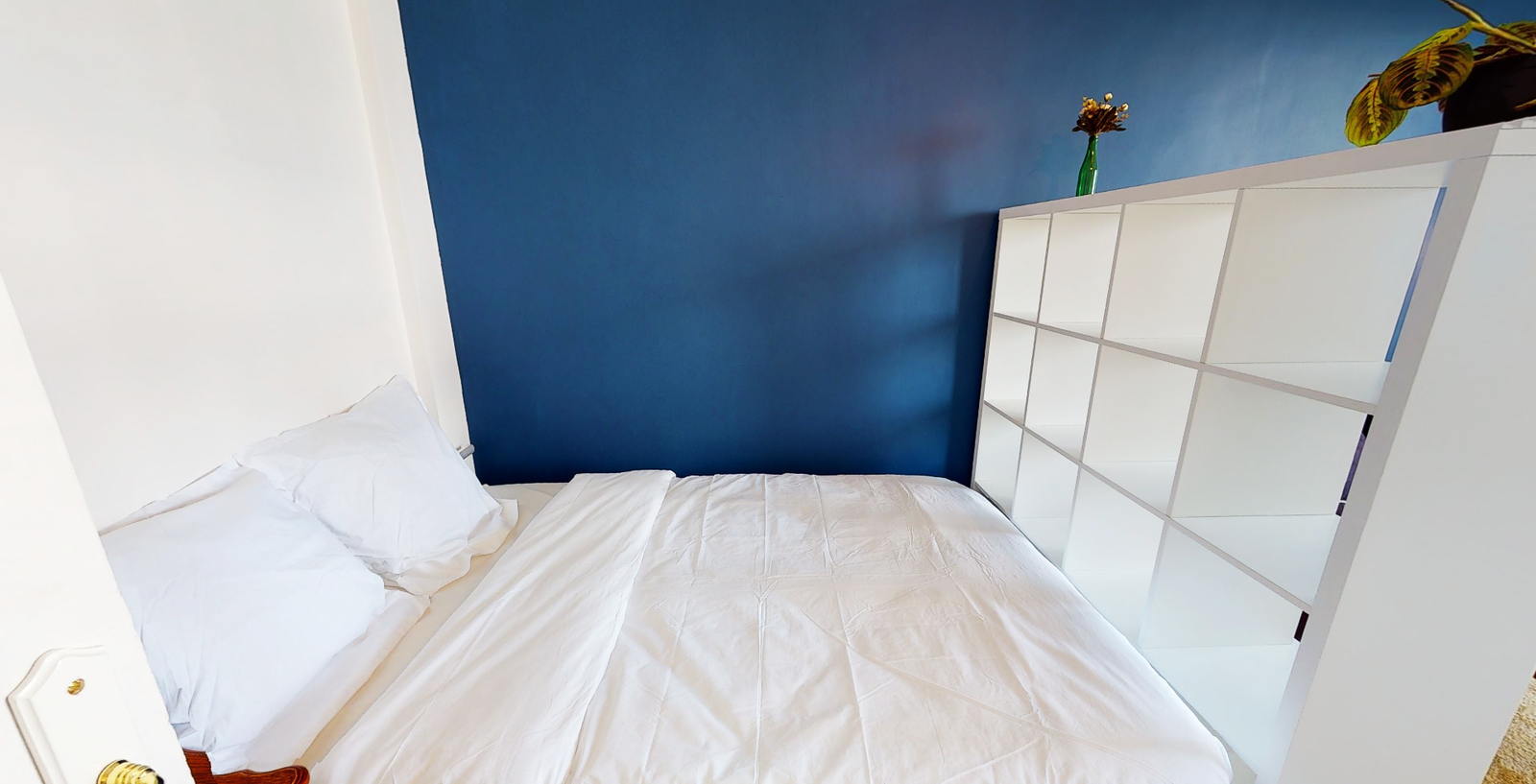 Colocation Toulouse 406624