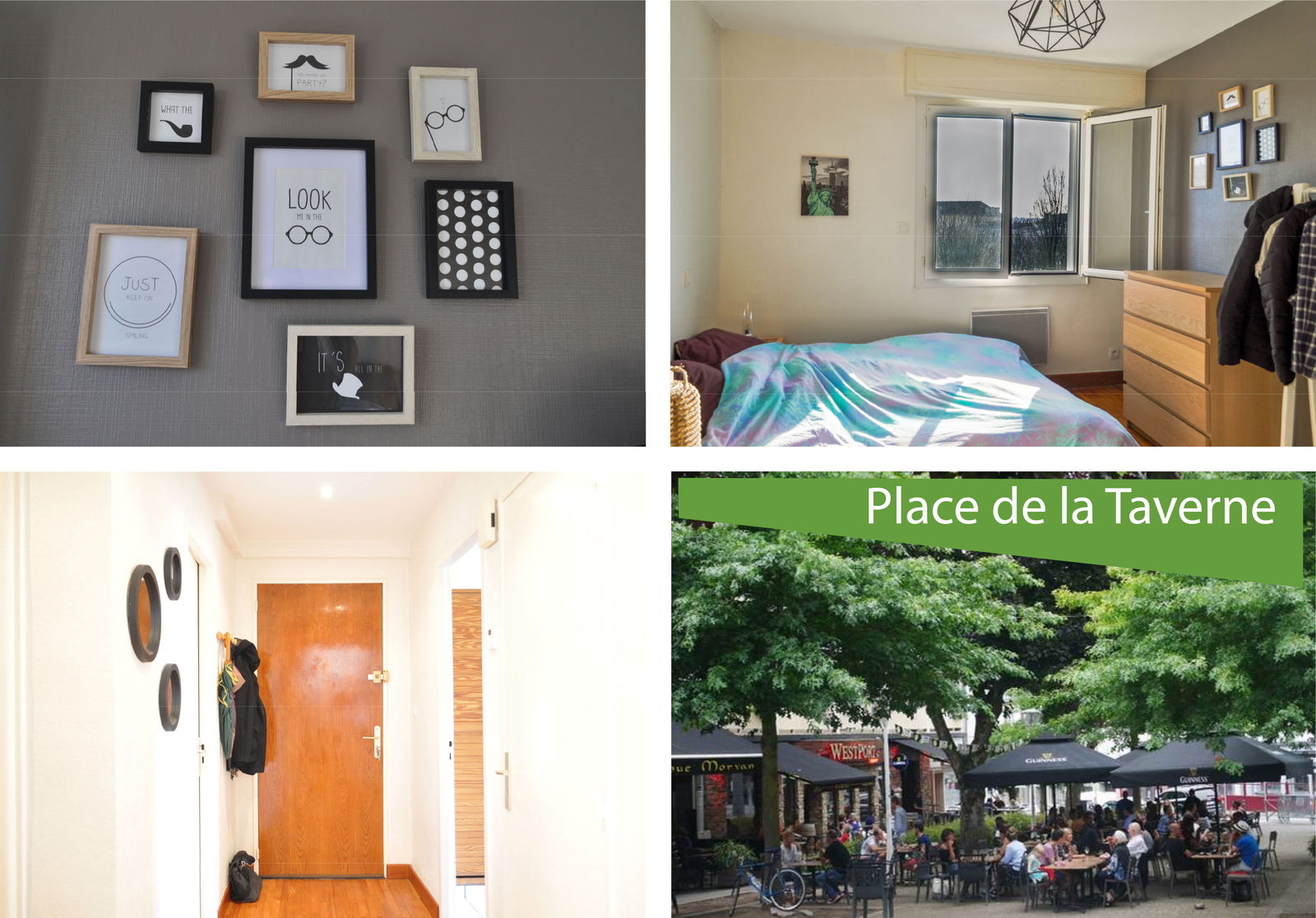 Colocation Lorient 244362