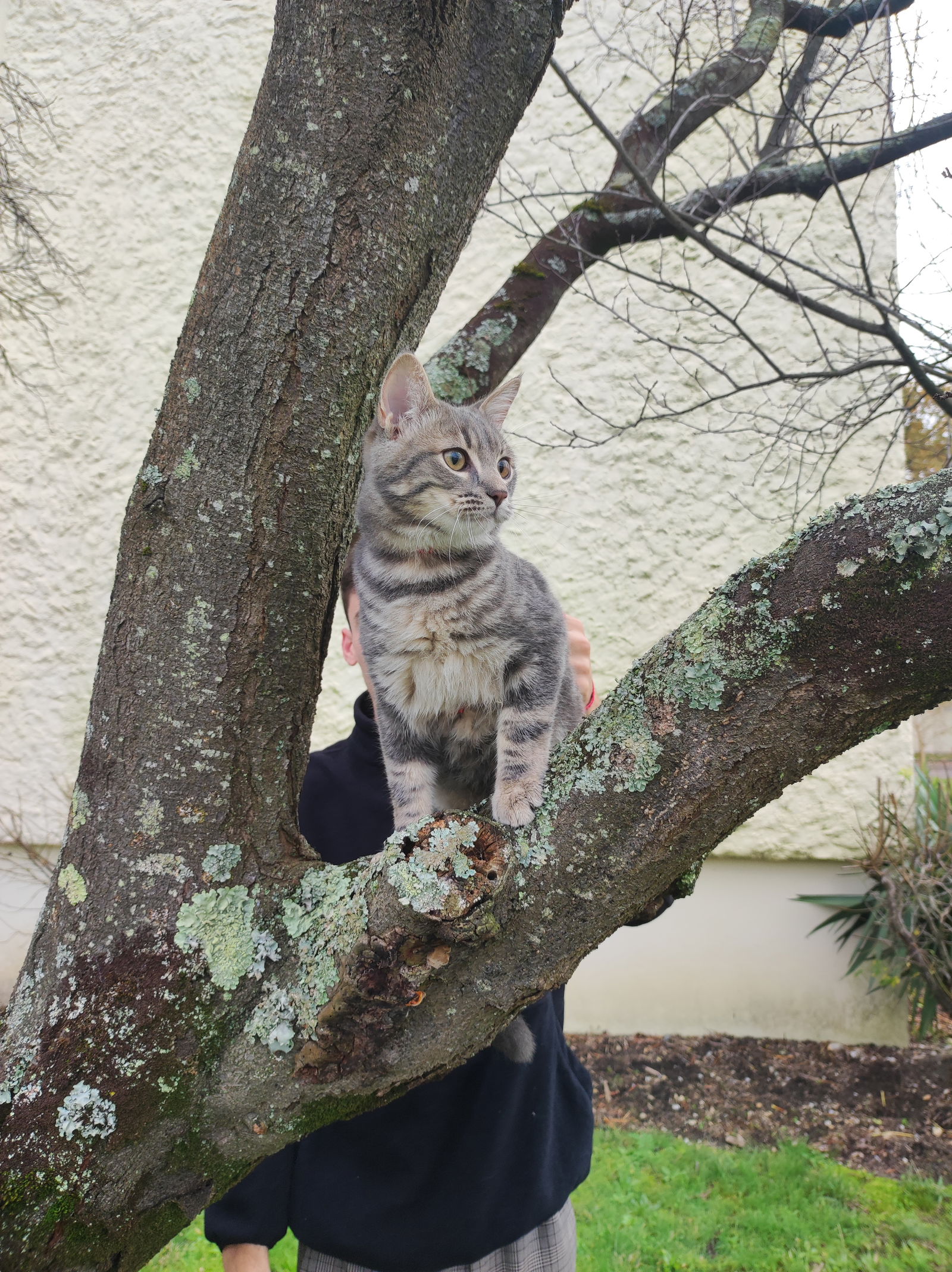 Colocation Talence 317196