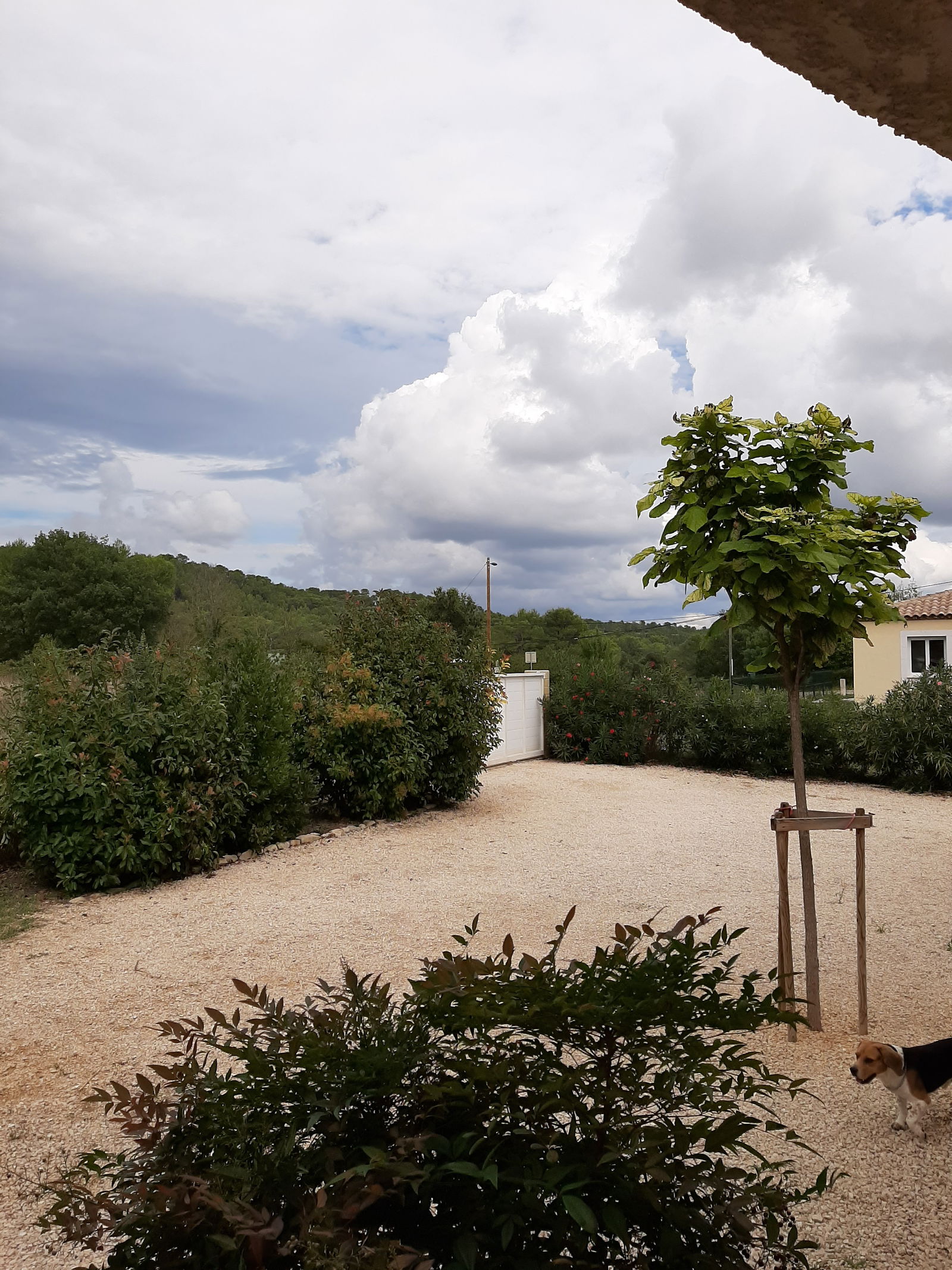 Homestay Cannes-et-Clairan 244916