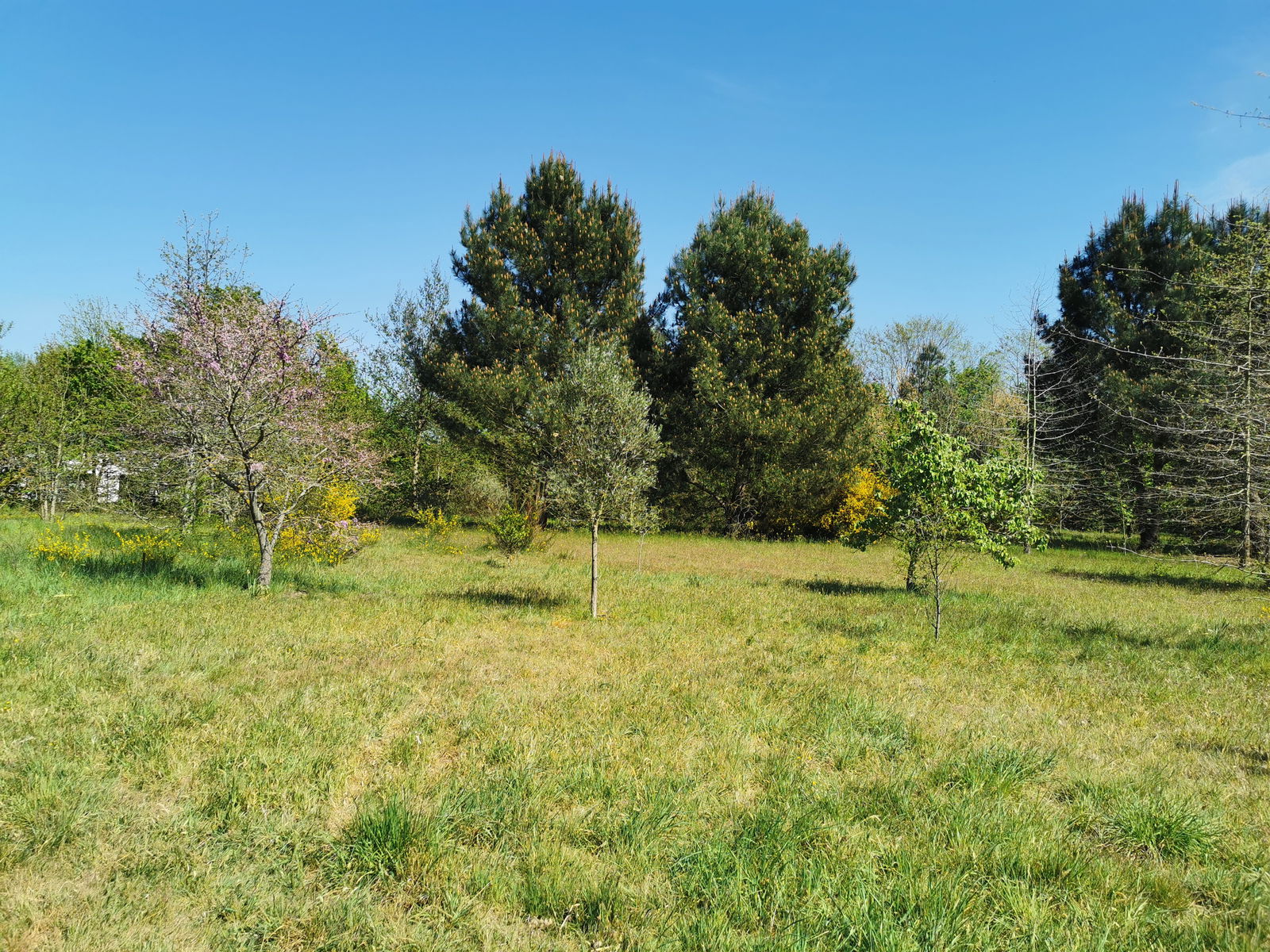 Homestay Cornillé-les-Caves 248028