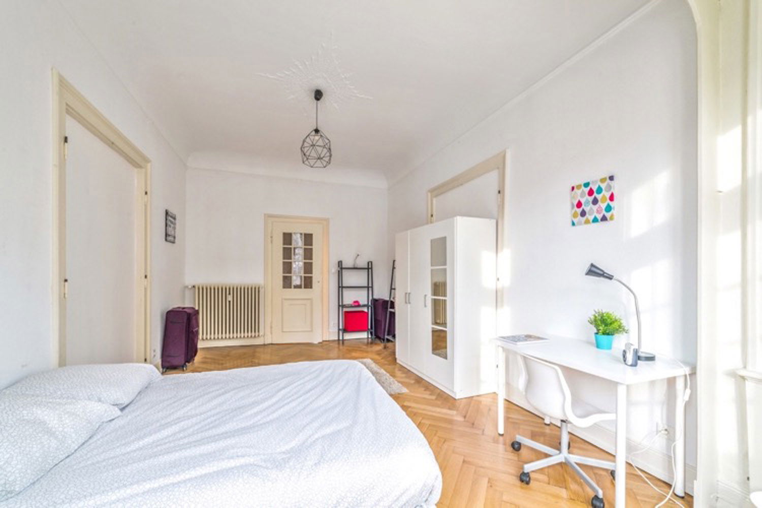 Colocation Strasbourg 264672