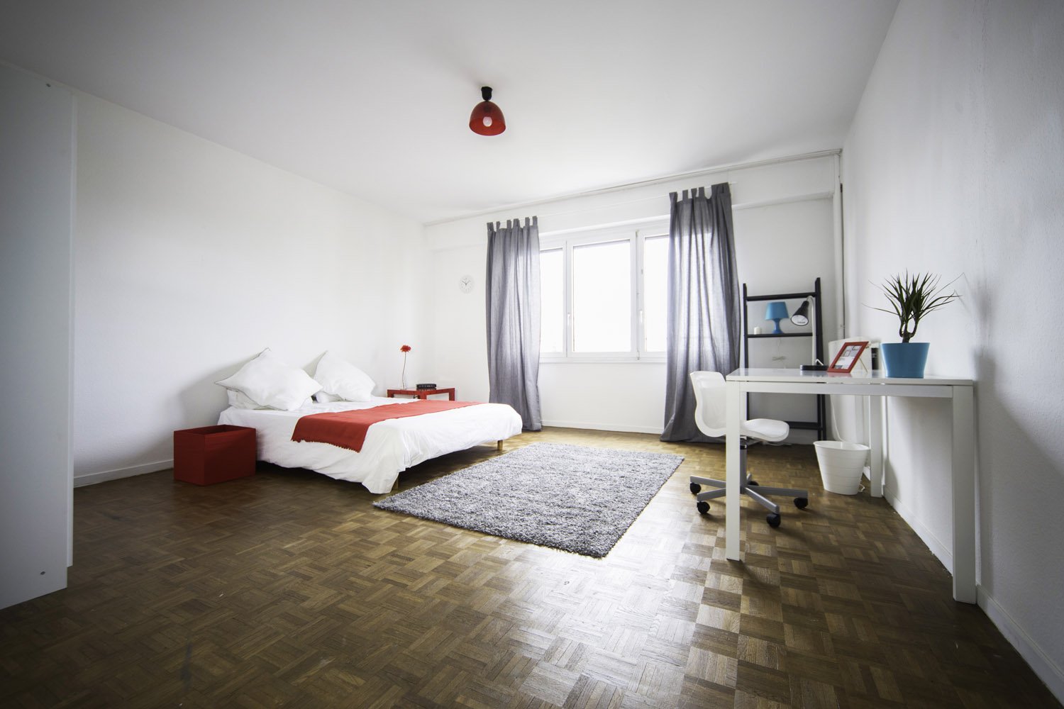 Colocation Strasbourg 264610