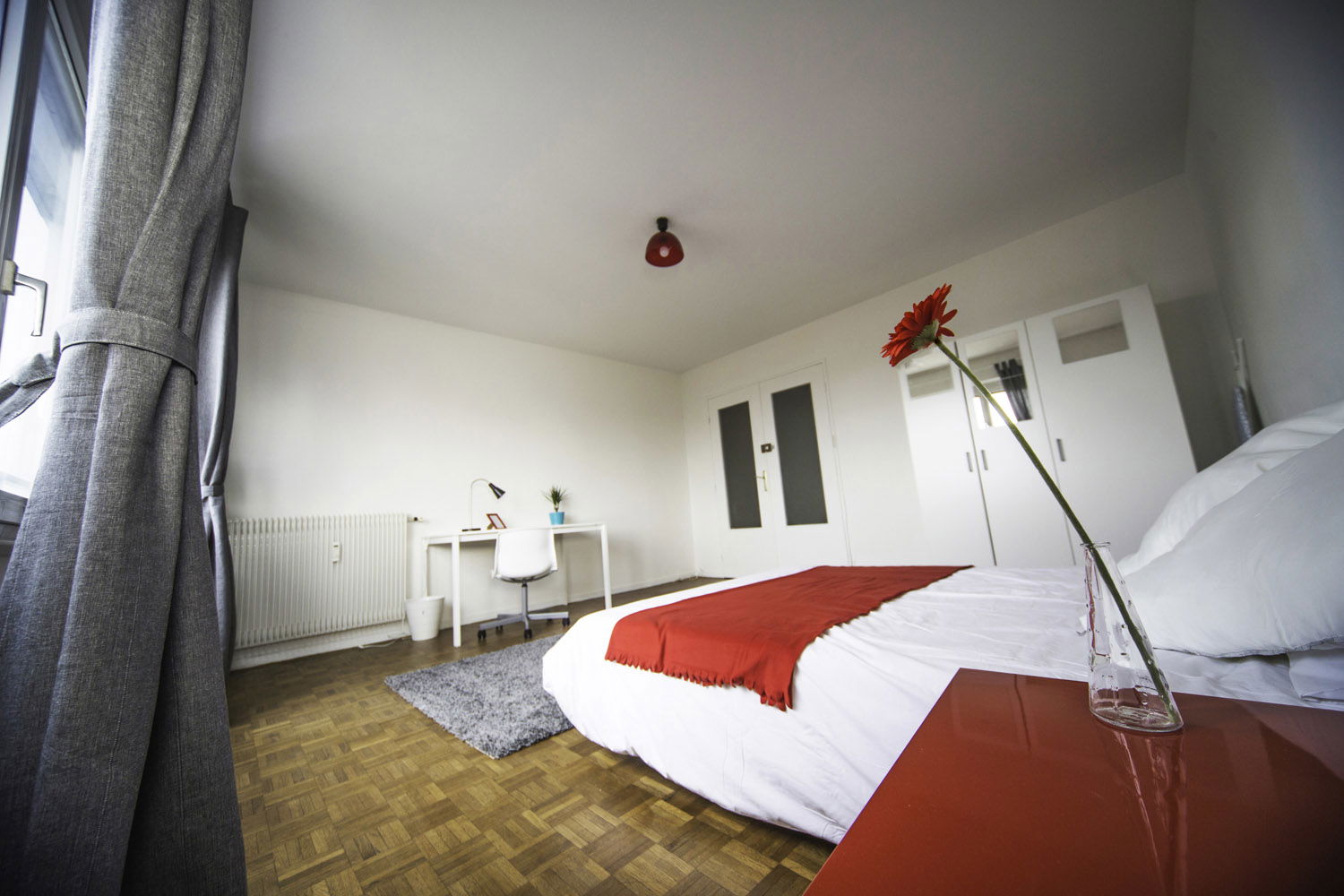 Colocation Strasbourg 264610