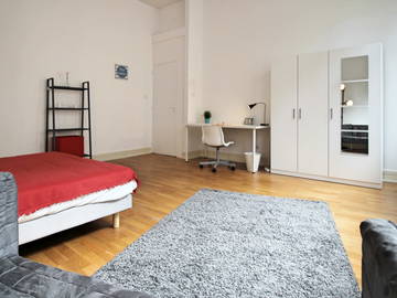 Chambre À Louer Strasbourg 264659