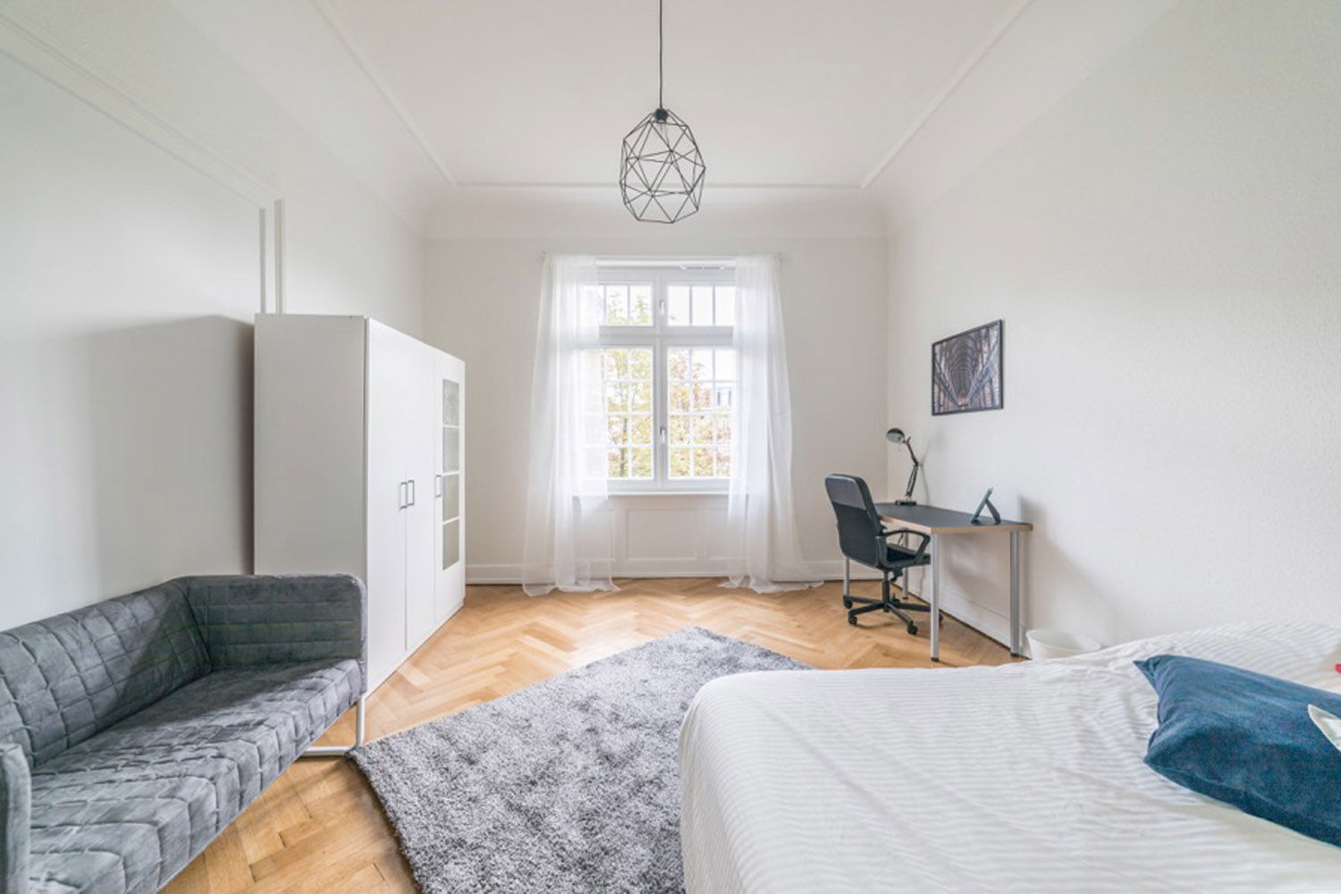Colocation Strasbourg 264689