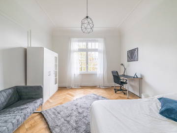 Chambre À Louer Strasbourg 264689