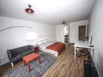 Room For Rent Strasbourg 264653