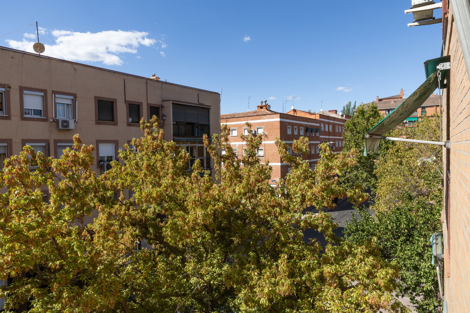 Homestay Madrid 664149