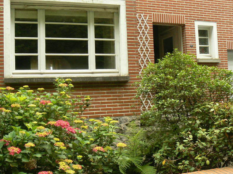 Kolokation Lasne 17803-3