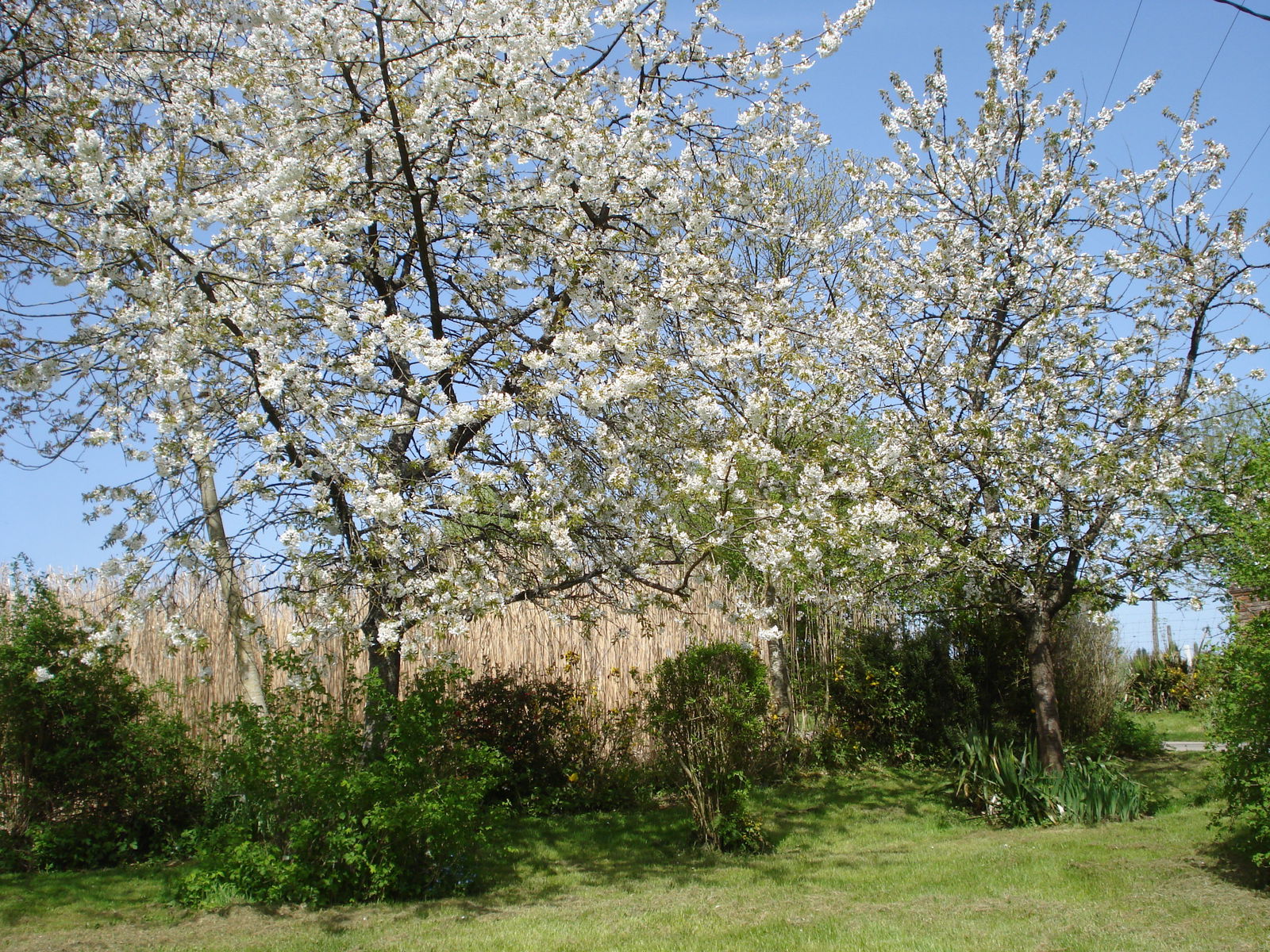 Entire Home Bézancourt 205491