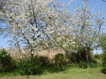 Logement Entier Bézancourt 205491-10