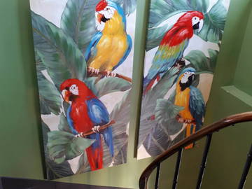 Shared Accommodation Melun 258830-8