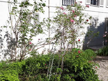 Shared Accommodation Melun 258830-15