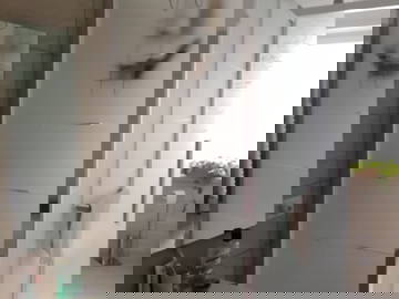 Homestay Torino 263090-5